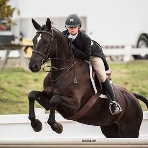 Meet your Posher, Morgan